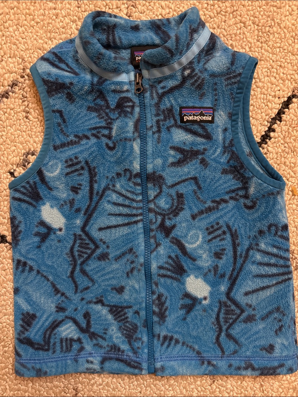 Patagonia Fleece Vest (3T) EUC